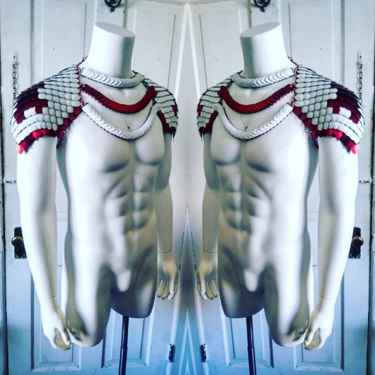 White & Red Knights of Templar Armor