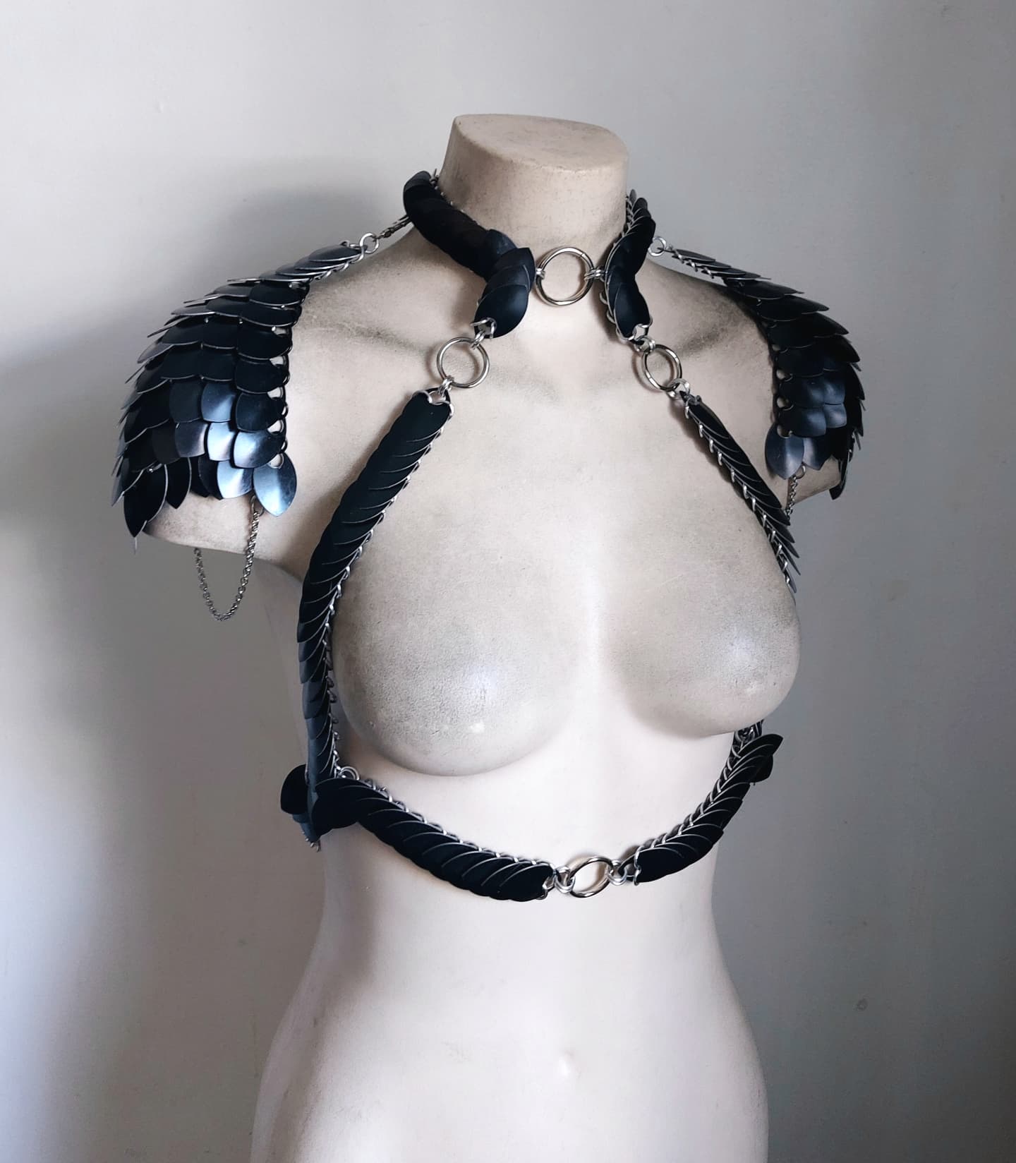 Valkyrie Lite Harness Set