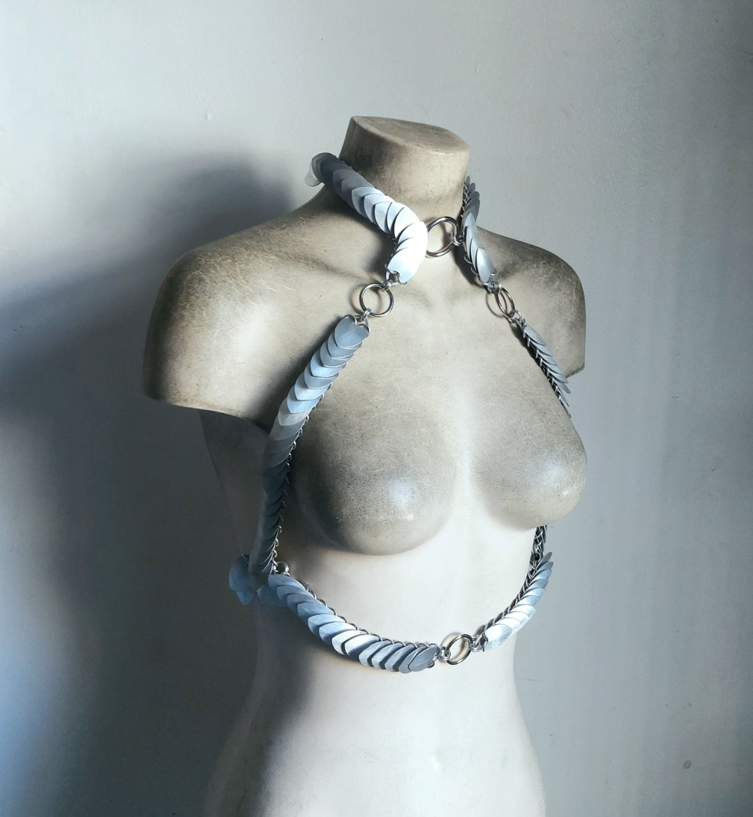 Brushed Silver Harness