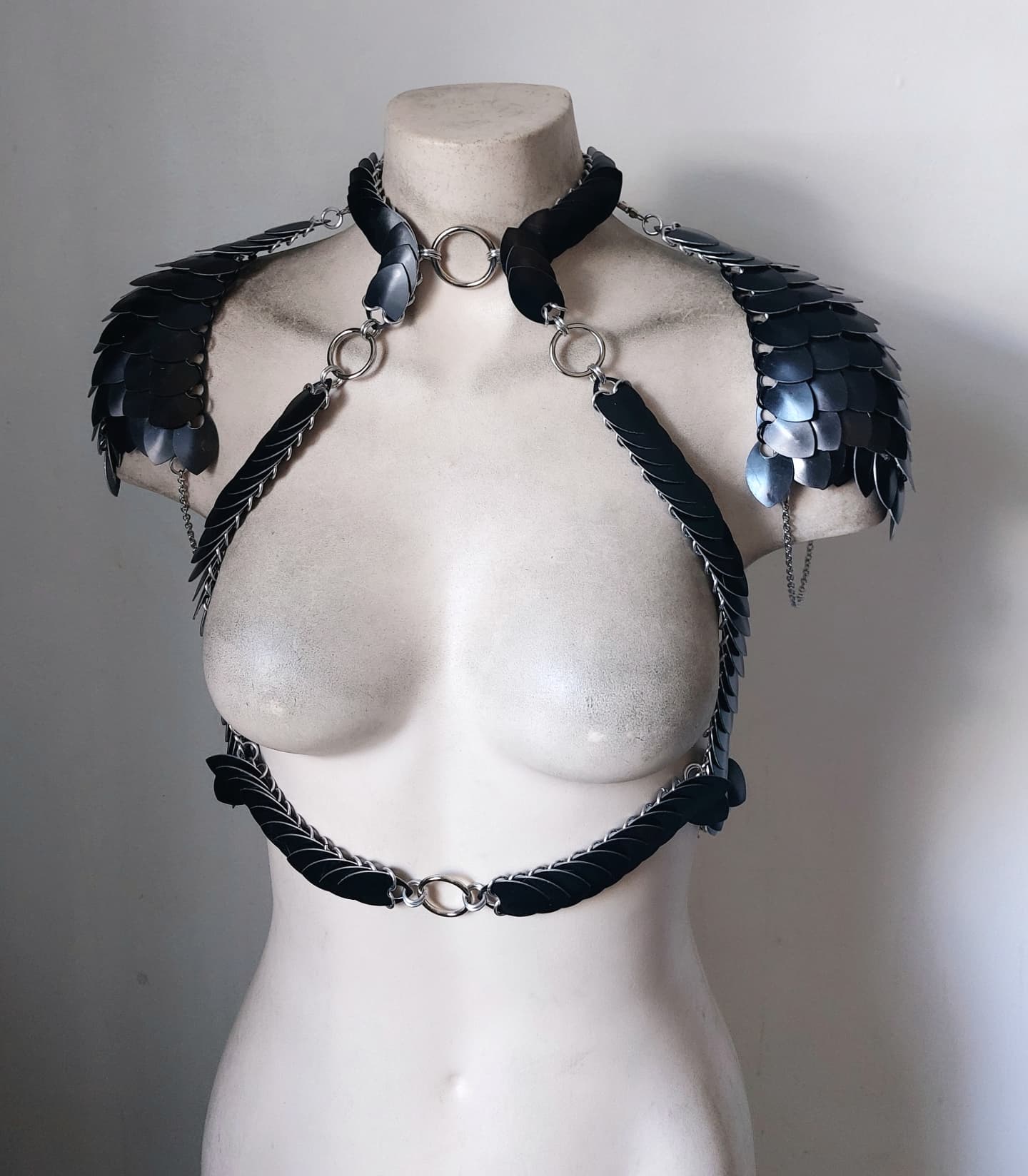 Valkyrie Lite Harness Set