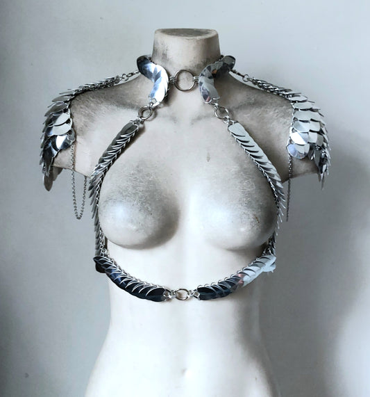 Valkyrie Lite Harness Set